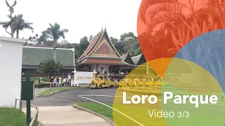 Loro Parque - video 3/3