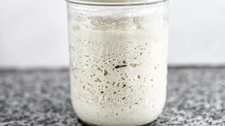 So Easy Gluten Free Sourdough Starter | Easy to maintain with no daily feedings or discard!