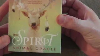 A St Patrick's Day Miracle. Spirit Animal Oracle unboxing and random message for anyone seeing this.