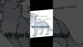 What I thought Warrior Cats looked like VS how they actually looked PT.4