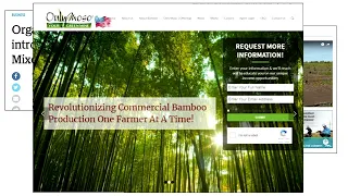 Invasive bamboo management in the southeastern U.S.