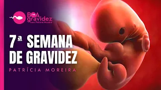 7 SEMANAS DE GRAVIDEZ - Série A Formação Humana