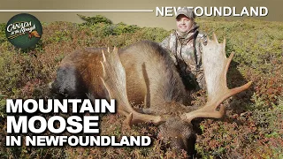 Amazing stalk for Moose in the mountains of Newfoundland | Canada in the Rough