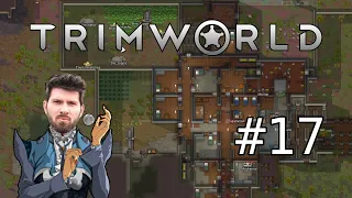 (T)RimWorld #17 mit Matteo