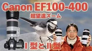 キヤノンEF100-400mmf4.5-5.6L IS ⅡUSM とIS USM 超望遠ズームレンズ新・旧のお話