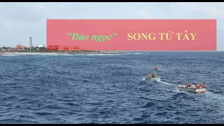 Khám Phá Đảo Song Tử Tây (Phần 2): Sức sống mới của đảo ngọc Trường Sa