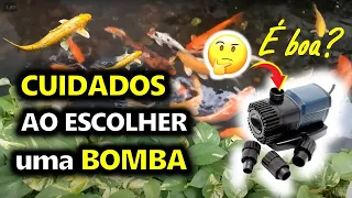 🐟 BOMBA para o LAGO ou AQUAPONIA [O que NUNCA te CONTARAM] - COMO ESCOLHER?