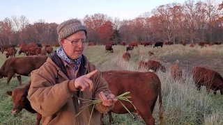 Greg discusses his low input methods that guarantee a profitable grazing operation