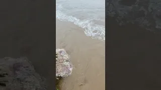 cheia do Rio Seridó para açude Boqueirão Parelhas RN