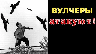 Живучий Як-1 в глухой обороне и куча упрямых вулчеров. Ил 2 Штурмовик БЗС. (Il 2 BoS)