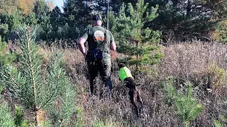 Охотник-первоходка. По птице невидимки и Grouse Hunting