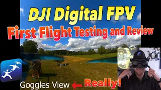 DJI Digital FPV Goggles System Review – Flight Testing and Analog Comparison