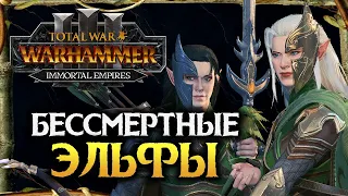 Бессмертные Империи и Лесные Эльфы в Total War Warhammer 3 Immortal Empires