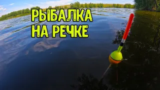 Рыбалка на поплавок на речке в конце июля!