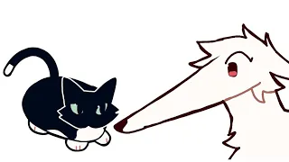 Maxwell cat meet Borzoi dog