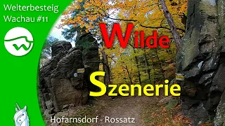 Hofarnsdorf - Rossatz - Welterbesteig Wachau - Etappe 11 - Wandern in Niederösterreich