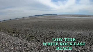 Low tide east beach White Rock BC