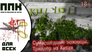 ЖЕСТЬ!!! НА МЕНЯ НАПАЛИ НОЖНИЦЫ ДЛЯ ШИНКОВКИ ИЗ КИТАЯ!