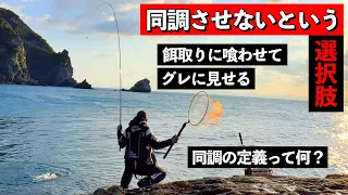 餌取りの大群をかわすマキエワークの秘訣とは！？ [夏〜秋のフカセ釣り]