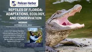 Reptiles of Florida: Adaptations, Ecology, and Conservation Webinar | 10.12.22