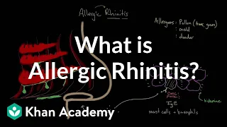 What is allergic rhinitis? | Respiratory system diseases | NCLEX-RN | Khan Academy