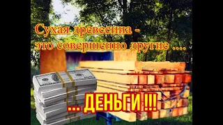 Сушка древесины в инфракрасной камере, "ПТК "СТОЖАРЫ"