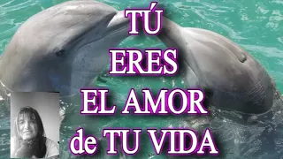 💛💜 "¡TÚ! ERES EL AMOR DE TU VIDA"