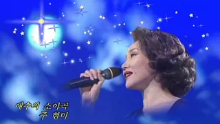 주현미   애수의 소야곡