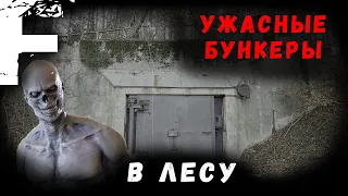 УЖАСНЫЕ БУНКЕРЫ В ЛЕСУ! Страшные Истории На Ночь!