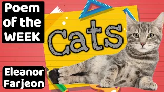 POEM OF THE WEEK | CATS by Eleanor Farjeon 😊 Read by Miss Ellis 💛 #catpoem