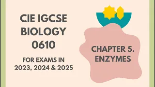 5. Enzymes (Cambridge IGCSE Biology 0610 for exams in 2023, 2024 and 2025) @IGCSEStudyBuddy