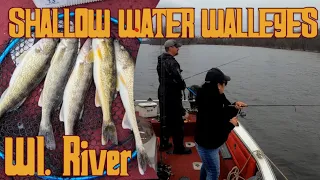 Shallow Water WALLEYES!