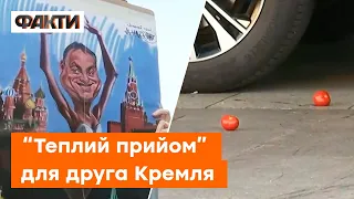 🍅 ПОМІДОРАМИ по репутації — кортеж Віктора ОРБАНА закидали овочами у Берліні