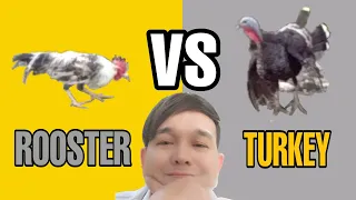 ROOSTER VS TURKEY 2021