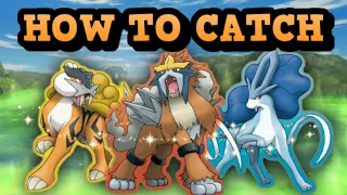 Legendary Beasts Guide PokeMMO - EVERYTHING YOU NEED TO KNOW