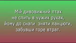 Блакитний птах плюс для розучування