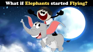 What if Elephants started Flying? + more videos | #aumsum #kids #children #education #whatif