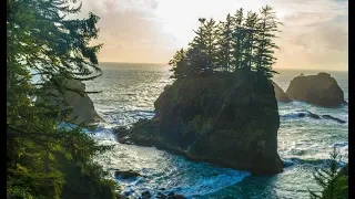 The Woman And The Bigfoot Of Secret Beach Oregon - A Bigfoot Encounter Story