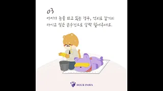 [FOUR PAWS] 반려동물이 죽었을 때, 어떻게 대처해야하나요? 기초수습의 모든 것!