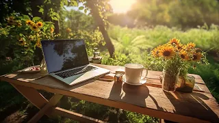 Sunny Garden Workspace: Serene Ambience with Flowers and bird sound