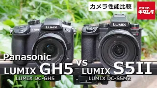 【カメラ比較】パナソニック LUMIX GH5 (DC-GH5)と LUMIX S5II (DC-S5M2)の顔・瞳AF性能と手ブレ補正性能の違いを徹底検証（カメラのキタムラ動画_Panasonic）