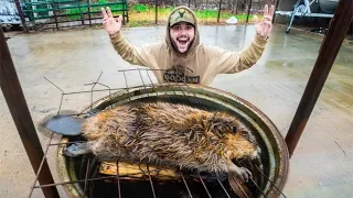 EPIC Beaver CATCH CLEAN COOK!!! (Delicious)