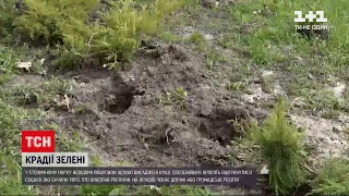 Новини України: у столичному парку невідомі поцупили щойно висаджені кущі