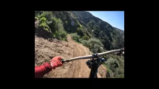 I can't believe this MTB trail exists... 💀💀🤯🤯#shorts #mtb #downhill #gopro