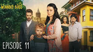 Wounded Birds - Episode 11 - [Multi Lang. Subtitles] Turkish Drama | Yaralı Kuşlar 2019