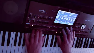 C C Catch - Cause you are young / KORG PA 700 STYLE