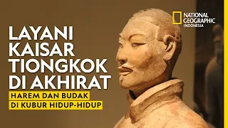 Layani Kaisar Tiongkok di Akhirat, Harem dan budak di kubur hidup hidup! - Natgeo Indonesia