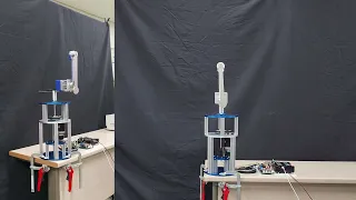 World's first video of 12 transition controls of a rotary double inverted pendulum