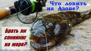 Брать ли спиннинг на море? Что можно поймать на Азове?