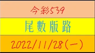 今彩539 『尾數版路』【2022年11月28日(一)】肉包先生